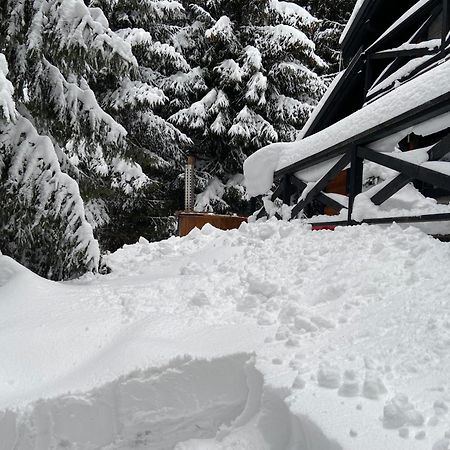 Chalet Rackova Dolina بريبيلينا المظهر الخارجي الصورة