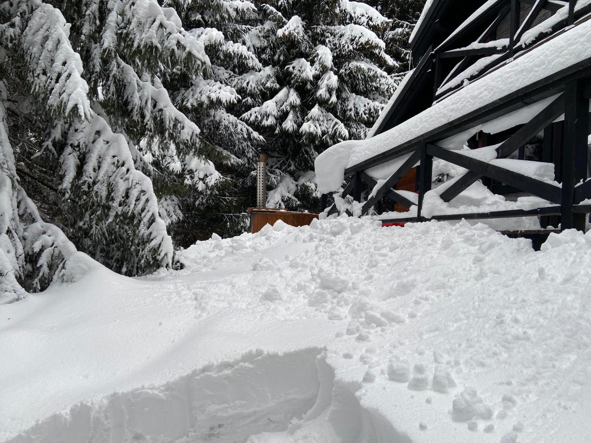 Chalet Rackova Dolina بريبيلينا المظهر الخارجي الصورة