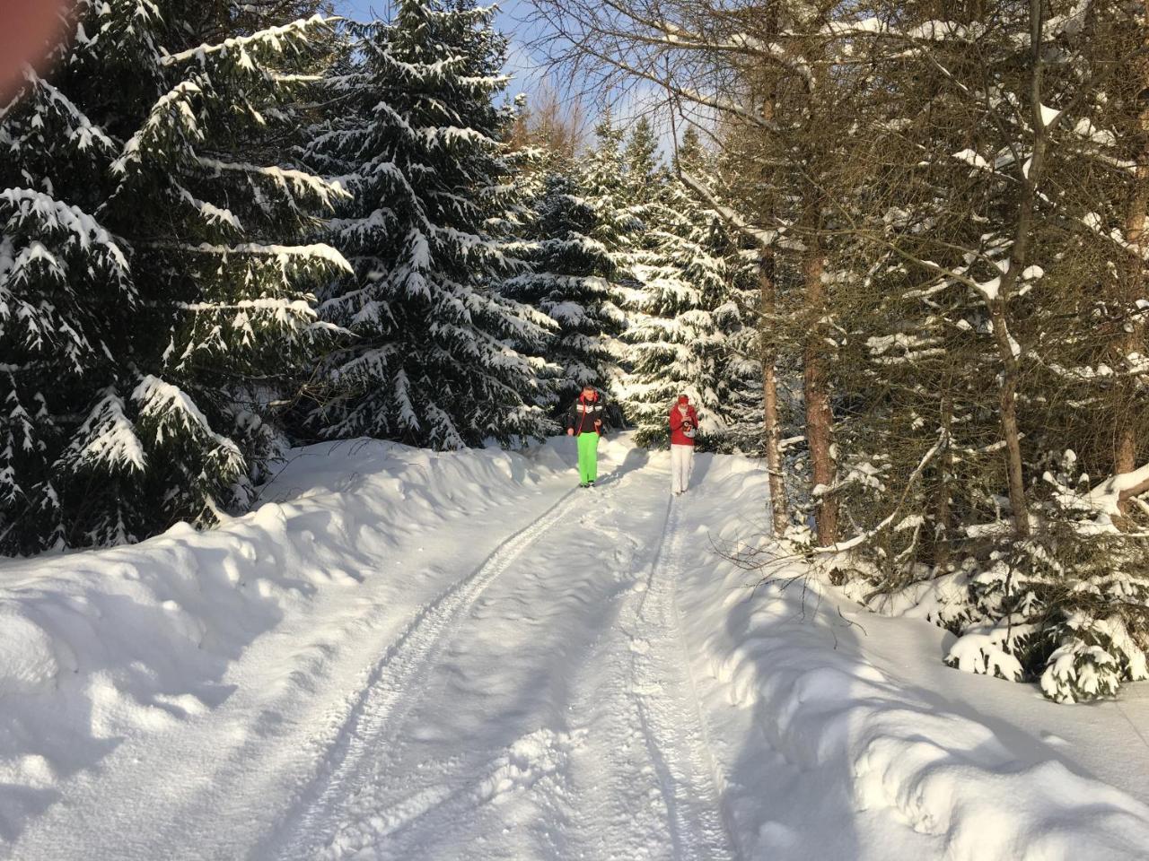 Chalet Rackova Dolina بريبيلينا المظهر الخارجي الصورة