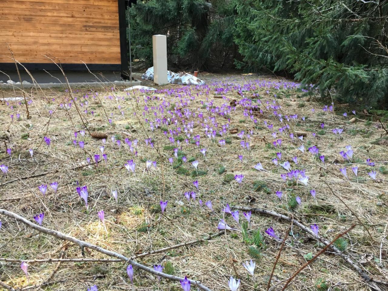 Chalet Rackova Dolina بريبيلينا المظهر الخارجي الصورة