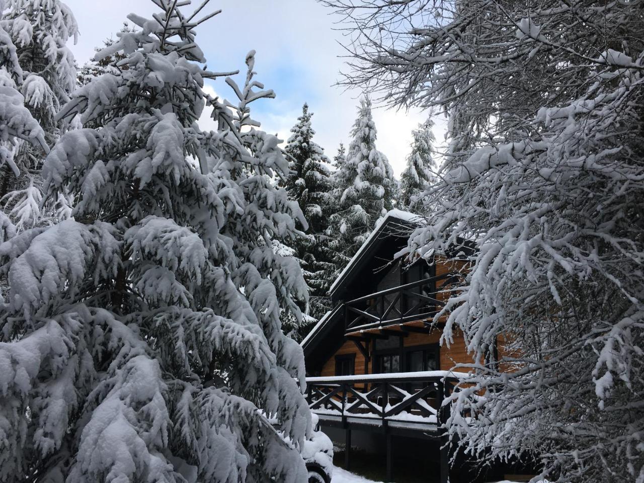 Chalet Rackova Dolina بريبيلينا المظهر الخارجي الصورة