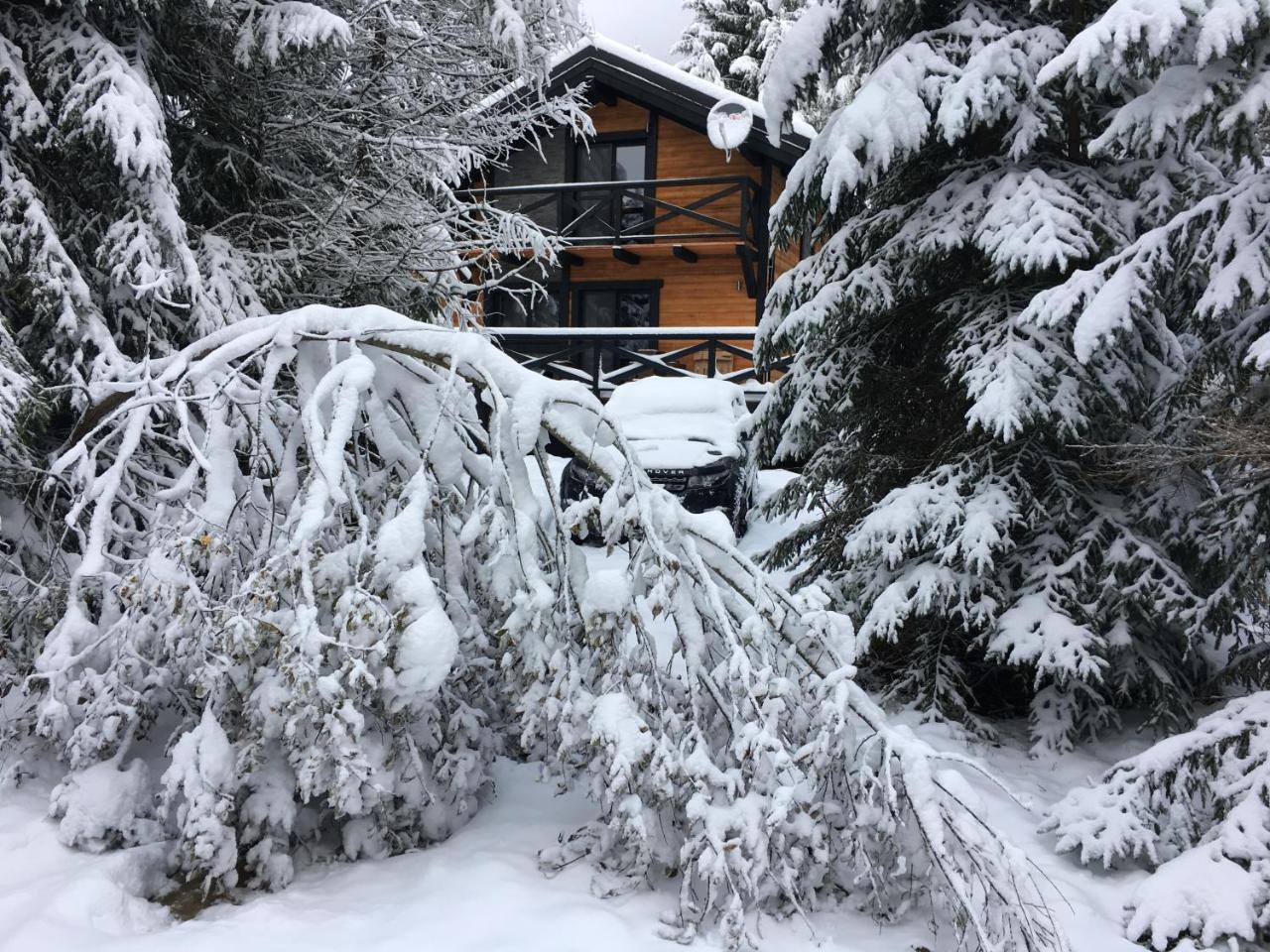 Chalet Rackova Dolina بريبيلينا المظهر الخارجي الصورة