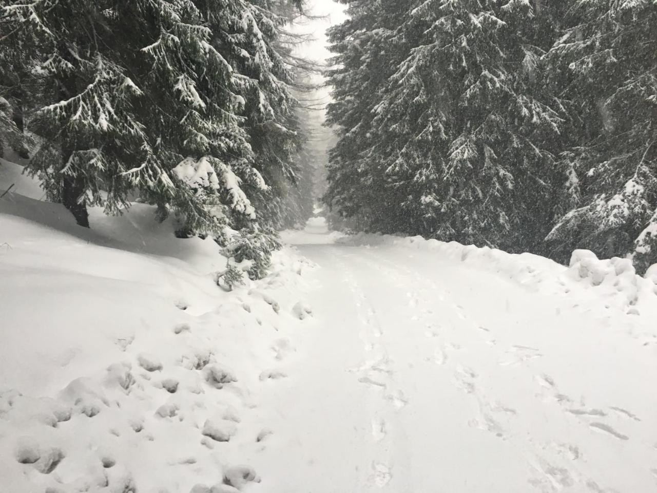 Chalet Rackova Dolina بريبيلينا المظهر الخارجي الصورة