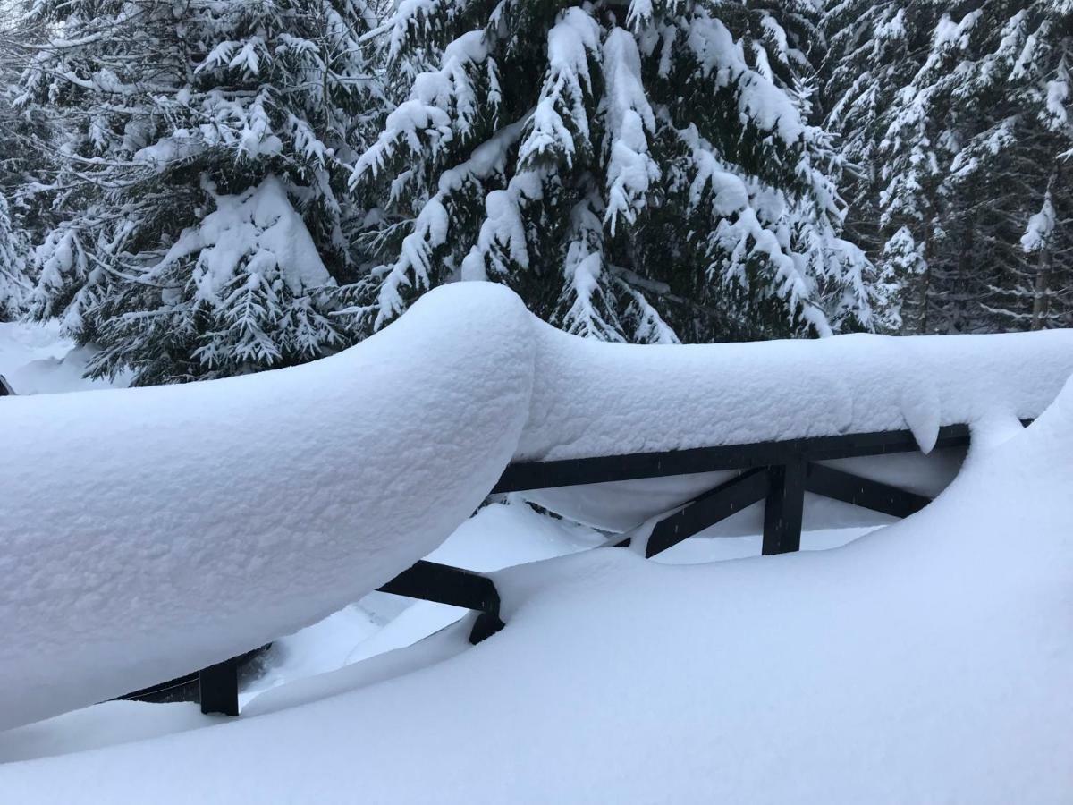 Chalet Rackova Dolina بريبيلينا المظهر الخارجي الصورة