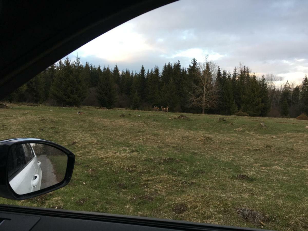Chalet Rackova Dolina بريبيلينا المظهر الخارجي الصورة